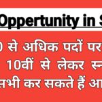 Job Oppertunity in SSC : 2400 से अधिक पदों पर बंपर भर्ती, 10वीं से लेकर स्नातक तक सभी कर सकते हैं आवेदन